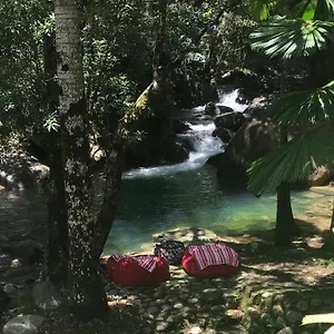 Daintree Secrets Rainforest Sanctuary Holiday home